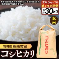 ★先行予約 令和8年産★【6ヶ月定期便】 米 コシヒカリ 5kg × 6回 (玄米) 鹿嶋市産【お米 こしひかり 茨城県 鹿嶋市 90000円以内】(KDS-30)