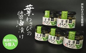 葉わさびの醤油漬け 瓶詰 5個 セット 詰め合わせ 葉わさび 醤油漬け わさび ワサビ ご飯のお供 山菜 おつまみ つまみ 漬物 漬け物 京都 