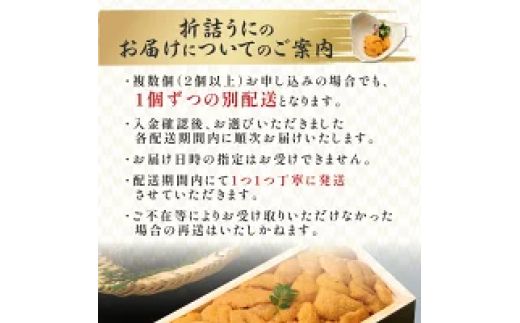 極上 エゾバフンウニ 折詰 100g | エゾバフンウニ 折り詰め うに 高級 ウニ 雲丹 生ウニ エゾバフンウニ 人気 ふるさと納税 北海道 登別市