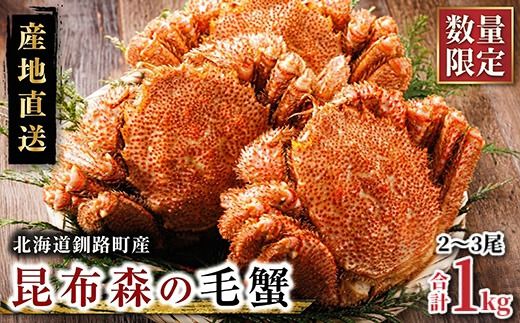 [12/21まで年内お届け] 数量限定 北海道昆布森の 毛蟹 1kg 2〜3尾 ボイル済み 下茹で 冷凍|入手困難 北海道産 毛ガニ ケガニ けがに カニ味噌 希少 魚介類 高級 セット 旬 釜茹で 年内配送 年内発送 北海道 釧路町 釧路超 特産品 121-1082-43