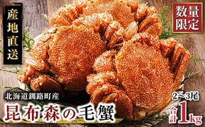 【12/21まで年内お届け】 数量限定 北海道昆布森の 毛蟹 1kg 2～3尾 ボイル済み 下茹で 冷凍|入手困難 北海道産 毛ガニ ケガニ けがに カニ味噌 希少 魚介類 高級 セット 旬 釜茹で 年内配送 年内発送 北海道 釧路町 釧路超 特産品 121-1082-43