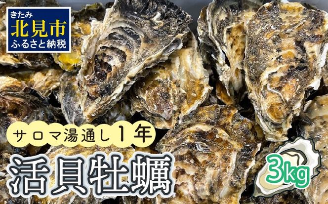 【予約：2024年11月上旬から順次発送】サロマ湖湯通し1年 活貝牡蠣3キロ ( カキ 魚介類 期間限定 3kg )【091-0001-2024】