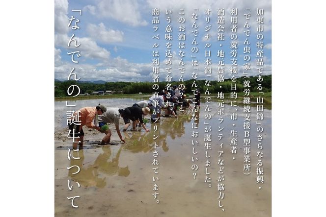 【限定セット】純米吟醸 真澄・剣菱 純米酒 なんでんの 飲み比べセット 各720ml [加東市特A地区山田錦100%  宮坂醸造 剣菱酒造 日本酒 酒 お酒 四合瓶 贈答用 ギフト 兵庫県 兵庫 加東市]