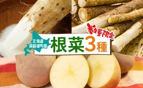 数量限定 根菜3種セット 計8.6kg 土付き 長芋 5kg 土付き ごぼう 1.8kg じゃがいも 1.8kg 先行予約 2026年11月下旬～12月下旬までのお届け 野菜 詰め合わせ 根菜 常温 青野農園 北海道 洞爺湖町
