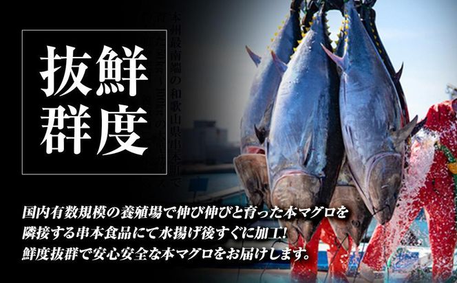 本マグロ（養殖）トロ＆赤身セット　500g［KS12］ 304018_CG1002