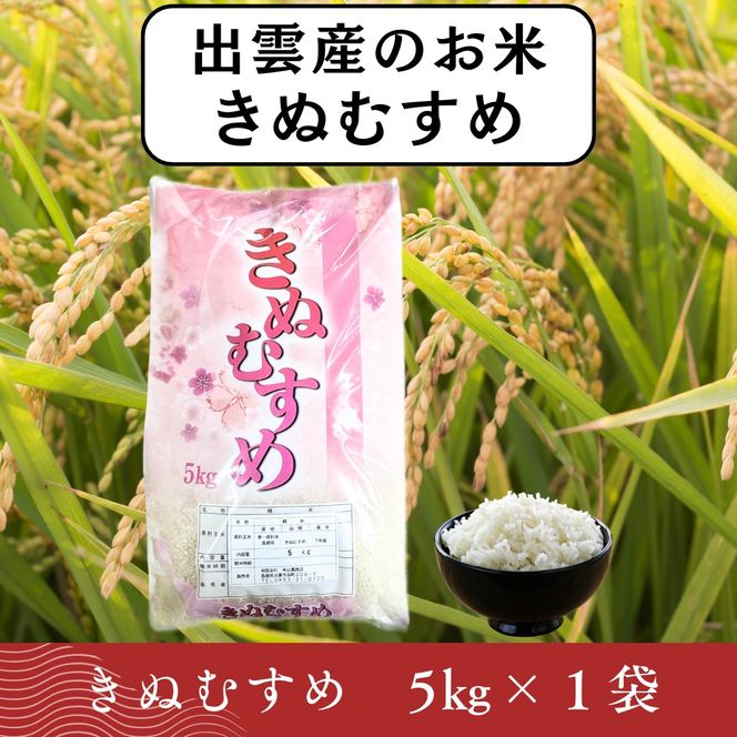 【ふるさと納税】お米　令和7年産　出雲きぬむすめ5kg 322032_EH008