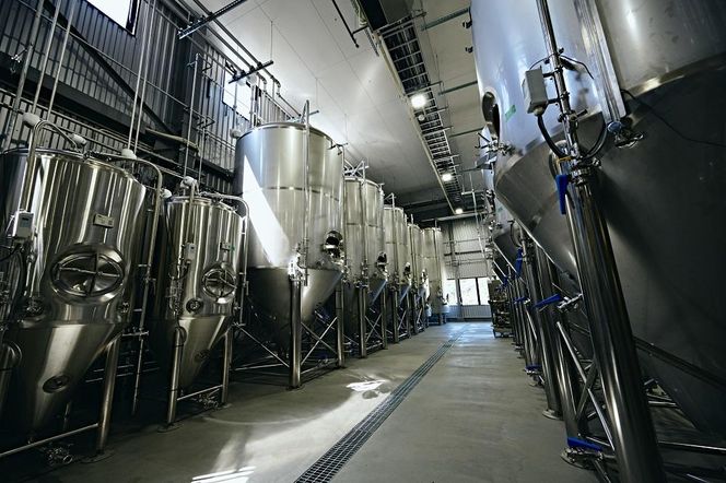 グレートデーンブリューイング 定番3種6缶詰め合わせ ラガービール【クラフトビール 飲み比べ 詰め合わせ ご当地ビール  ビール お酒 さけ ギフト 父の日 母の日 プレゼント】 041009_FY001
