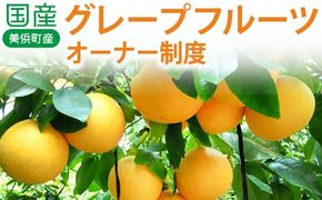 国産(美浜町産)グレープフルーツオーナー制度 ◆