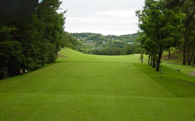 パインツリーゴルフクラブ 1名様土日祝日プレー無料優待券（昼食付） ゴルフ場 利用券 優待チケット 丘陵 林間 コース 松林 自然 戦略的 スポーツ 趣味 ビジネス 社会人 