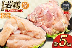 鶏肉 もも肉 2kg むね肉 3kg セット 計 5kg 未カット 宮崎県産 冷凍 [アイフーズ 宮崎県 日向市 452061698] とり肉 鳥肉 モモ肉 もも肉 むね肉 ムネ肉 胸肉 小分け 若鶏 宮崎
