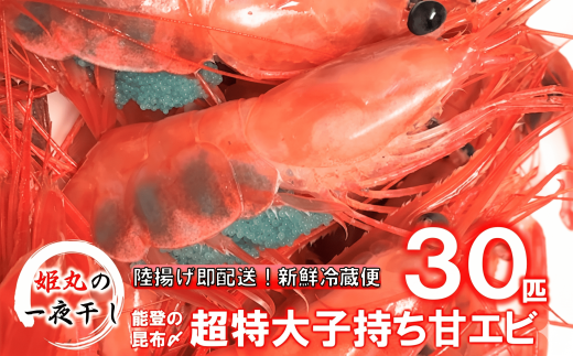 【2026年9月～10月発送】獲れたて鮮度抜群！姫丸の子持ち甘エビ30匹丸ごと昆布〆