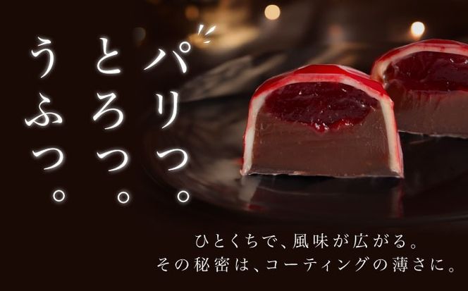 【2026年2月～発送】ボンボンショコラ 5個入り / チョコ チョコレート お菓子 バレンタイン/ 南島原市 / 本田屋かすてら本舗 [SAW031]