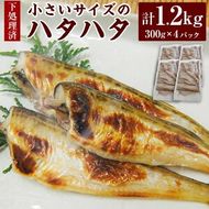 【ふるさと納税】小さいサイズのハタハタ 計約1.2kg（約300g×4パック）下処理済み【1453858】ハタハタ 魚 骨ごと食べられる 煮付け 塩焼き 唐揚げ 南蛮漬け みそ汁 料理用 冷凍 兵庫県 新温泉町 送料無料