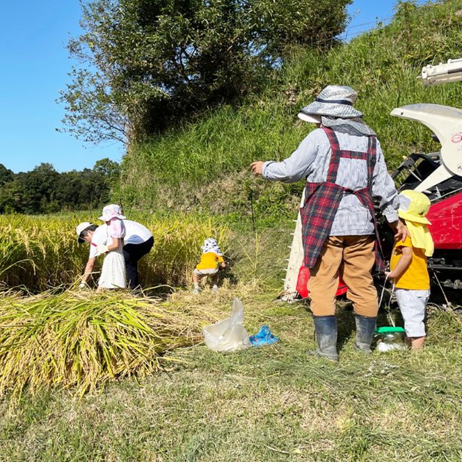 淡路島の棚田米 ３kg　白米