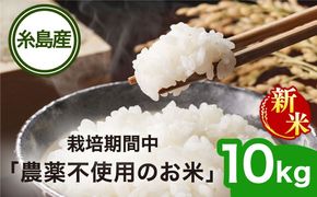 【令和6年産新米】栽培期間中 農薬不使用のお米 ヒノヒカリ 10kg 糸島市 シーブ [AHC007]