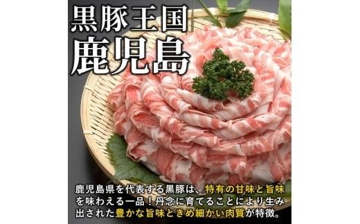 【定期便全4回】 鹿児島県産黒豚の満喫定期便(計5.1kg) t0058-004