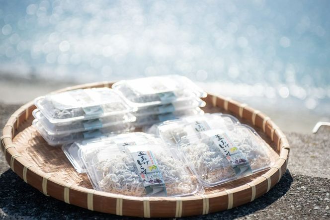 【愛媛県・佐田岬直送】木嶋水産の釜揚げしらす 1kg（250g×4パック）※離島への配送不可 IKTP010
