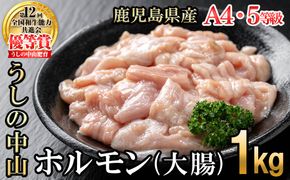 うしの中山 A4・A5等級黒毛和牛 ホルモン（大腸） 計1kg（500g×2袋）a5-347
