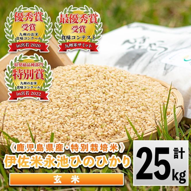 令和6年ヒノヒカリ 玄米　20kg 2024年鹿児島県産 令和6年産 ヒノヒカリ 玄米20kg