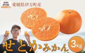 【先行予約】せとか3kg ※離島への配送不可 （2027年2月10日より順次発送予定） IKTAG003 