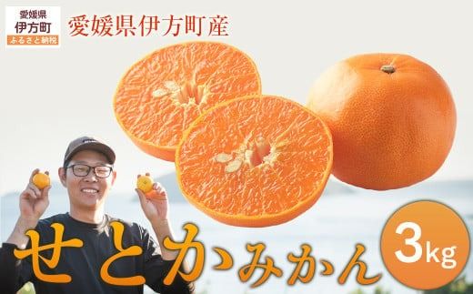 【先行予約】せとか3kg ※離島への配送不可 （2027年2月10日より順次発送予定） IKTAG003 