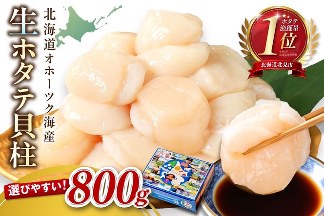 【2026年7月発送】北海道オホーツク海産 ホタテ貝柱 800g 生食用 ( 海鮮 魚介 魚介類 貝 貝類 帆立 ほたて お刺身 刺身 貝柱 海鮮丼 帆立貝柱 ホタテ )【037-0016】