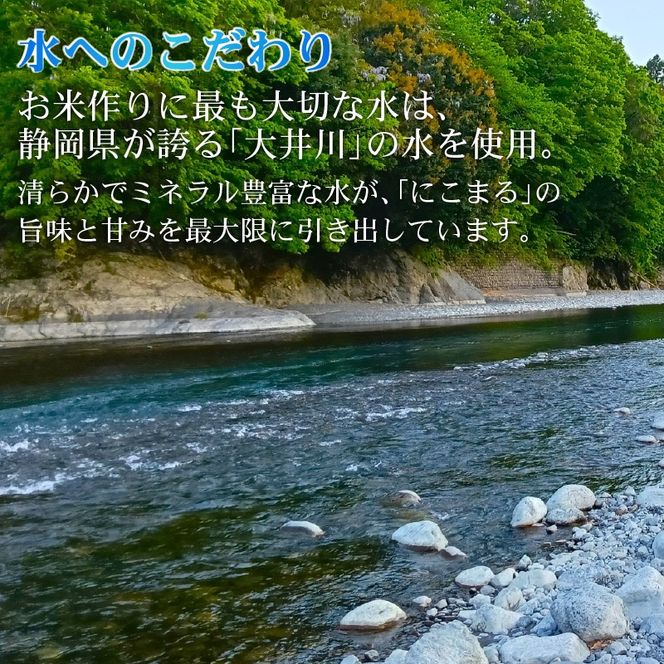 米 5kg 新米 にこまる 令和7年度産 食味ランキング特A品種 もっちり 大粒 静岡県 藤枝市産 静岡のお米 精米 白米 ご飯 ごはん 産地直送 静岡県 藤枝市