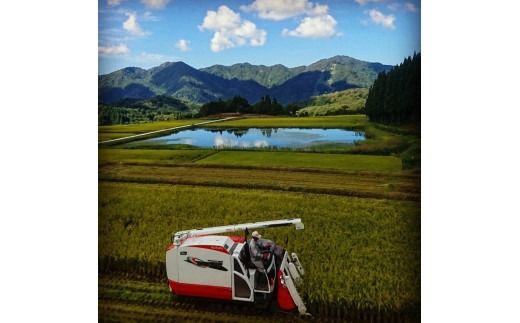 【令和7年産米】【定期便：2ヶ月連続でお届け】新潟県村上市岩船産 棚田米コシヒカリ 4kg（2kg×2袋）+パックごはん(150ｇ×1個) ×2ヶ月 1067141