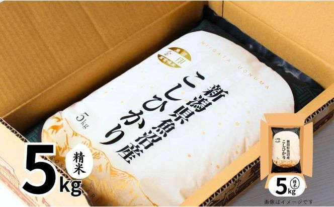 【定期便全3回毎月発送】魚沼産コシヒカリ金印(精米)5kg 米 こしひかり 定期 新潟 十日町市