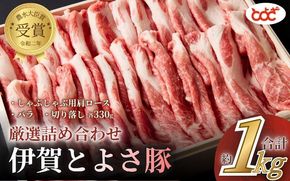 農水大臣賞受賞　伊賀とよさ豚　厳選詰め合せ1Kg【tysk0001】