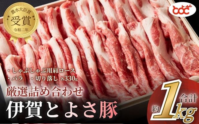 農水大臣賞受賞　伊賀とよさ豚　厳選詰め合せ1Kg【tysk0001】