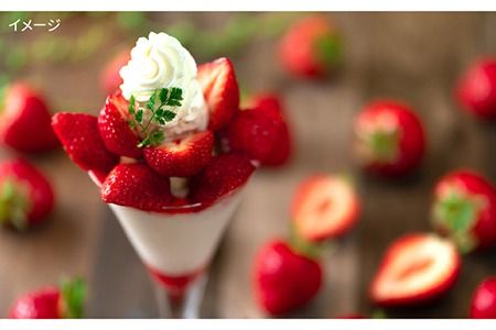 【先行予約】糸島産【春】 あまおう 6パック 【2025年2月上旬以降順次発送】 《糸島》【南国フルーツ株式会社】 [AIK009]  いちご ギフト イチゴ 食べ比べ 苗 タルト