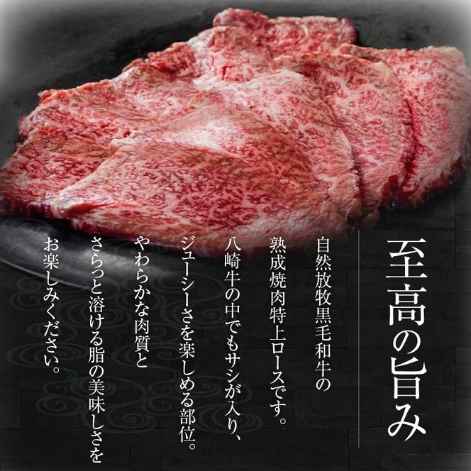 八崎牛の熟成焼肉 特上ロース 約80g×2個 N0105-YA4422