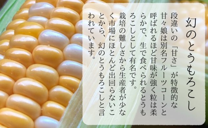【先行予約】数量限定！リピーター続出！！とうもろこし★甘々娘★ おすすめ コーン トウモロコシ かんかんむすめ 採れたて 新鮮 野菜 健康 ヘルシー 人気 厳選 袋井市 フルーツコーン 静岡県
