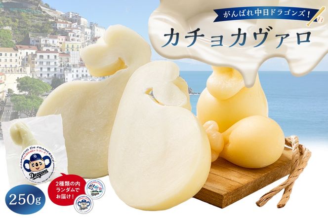 がんばれ中日ドラゴンズ！カチョカヴァロ1個【中日ドラゴンズコラボ】【0073-088】