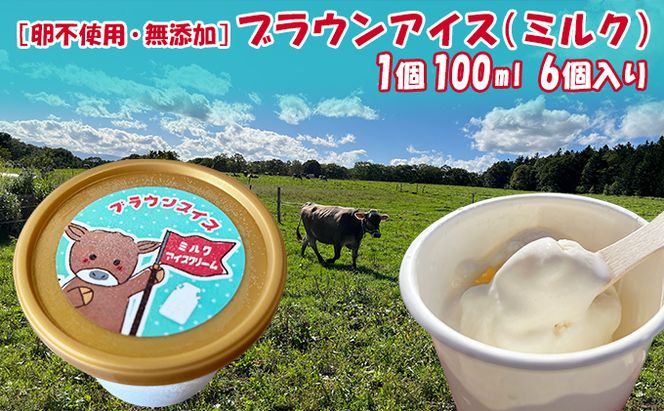 【卵不使用・無添加】ブラウンアイス（100ml）6個セット 北海道 南富良野町 アイス アイスクリーム デザート 無添加 バニラアイス バニラ お菓子 スイーツ ひんやり おやつ 夏 なめらか 濃厚 コク クリーミー しっかりした甘さ 