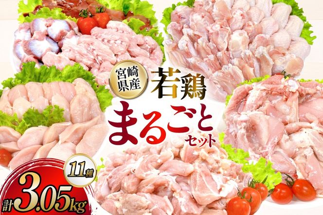 鶏肉 業務用 宮崎県産 若鶏 もも切身 むね切身 筋なしささみ 砂肝 肝 手羽先 手羽中 手羽元 肩肉 小肉 骨付きもも 計 3.05kg セット [TRINITY 宮崎県 日向市 452061335] 小分け 冷凍 鶏もも肉 鶏むね肉 ささみ 詰め合わせ