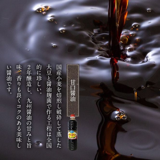 甘口の6本セット　N060-YA155