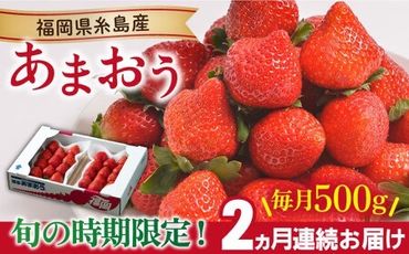 [全2回定期便][2023年12月上旬より順次発送]糸島産[冬] あまおう 2パック 毎月計500g 糸島市 / 南国フルーツ株式会社 