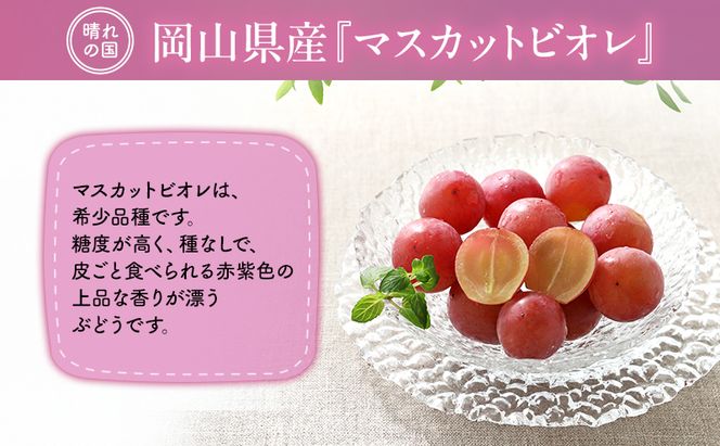 【2026年先行予約】 ぶどう 岡山県産 皮ごと 食べられる マスカット ビオレ 種無し 約2kg （3～5房）  《2026年9月下旬-10月下旬頃出荷》 葡萄 ブドウ フルーツ 果物 数量限定 期間限定 岡山 里庄町 