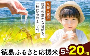 ★先行予約★白米 徳島ふるさと応援米 選べる 5kg 10kg 20kg《2026年11月以降順次出荷》 生活応援企画 米 精米 送料無料 徳島県 佐那河内村 白米 ブレンド米 こめ コメ お米---sanagouchi_lcl_90_5kg---