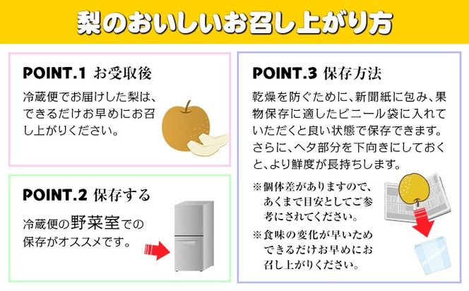 梨 あきづき 福岡農園 こだわりの梨 あきづき 約5kg 《9月上旬-9月下旬頃出荷予定》熊本県 氷川町 ナシ 秋 旬 熊本 フルーツ お取り寄せ 無袋栽培 送料無料 旬の梨 フルーツ梨 あきづき 約5kg nashi あきづき 旬---hkw_lcl_327_5kg---