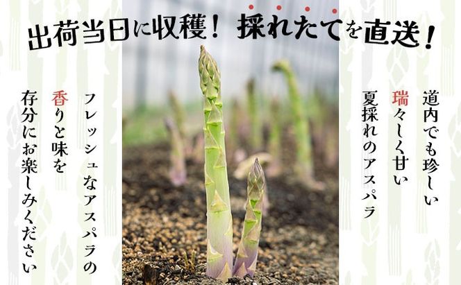 ＜先行予約＞あまーい！北海道産夏アスパラ(A品) 1kg【ffk-003】北海道 伊達市 野菜 新鮮 アスパラガス ふるさと納税 送料無料