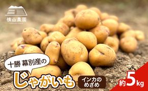 先行予約/2026年秋発送 北海道 十勝 幕別産 じゃがいも インカのめざめ 約5kg【横山農園】  野菜 根菜 フライドポテト ポテトチップス 変色しにくい 煮崩れしにくい 黄金色 北海道のジャガイモ 