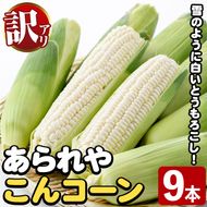 ＜先行予約受付中！2026年9月下旬以降順次発送予定＞訳あり！白いとうもろこし「あられやこんコーン」(9本) 国産 トウモロコシ 玉蜀黍 ホワイト コーン 野菜 糖度 夏 イネ科 数量限定 期間限定 訳アリ 旬 【うとさんち】akn067-28