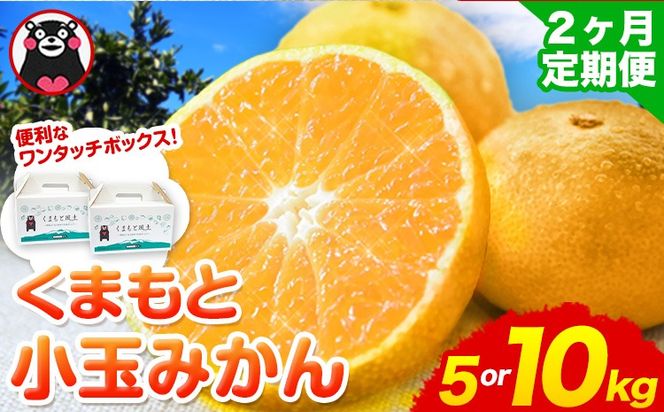 訳あり みかん 小玉みかん 定期便 くまもと小玉みかん 5kg (2.5kg×2箱) 10kg (10kg×1箱) 選べる回数 秋 旬 不揃い 傷 ご家庭用 SDGs 小玉 たっぷり 熊本県 産 S-3Sサイズ フルーツ 旬 柑橘 長洲町 温州みかん《10月-11月出荷》---fn_nkomikantei_12500_5kg_oct2---