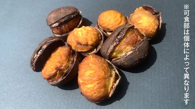 庄七農園 限定 熟成 焼き栗 500g 【 10月から順次お届け 】 栗 くり 焼栗 おやつ スイーツ 茨城 和栗 美味しい 果物 フルーツ [BK05-NT]
