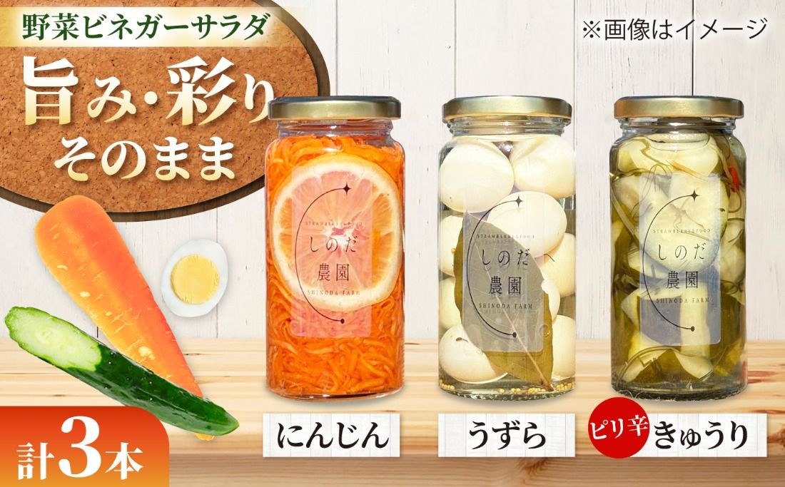 野菜ビネガーサラダ 3本(うずら・ピリ辛きゅうり・にんじん) ビネガーサラダ 常備菜 おかず 愛西市 / しのだ農園-SHINODA FARM-[AECE011]