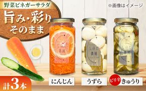 野菜ビネガーサラダ 3本（うずら・ピリ辛きゅうり・にんじん） ビネガーサラダ 常備菜 おかず 愛西市 / しのだ農園-SHINODA FARM-[AECE011]