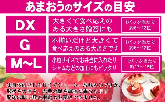 あまおう DX等級のみ 約1.04kg 約260g×4パック ※配送不可：北海道・東北・沖縄・離島 果物 苺 フルーツ デザート 旬 大粒 中玉 大玉 旬のあまおう 
